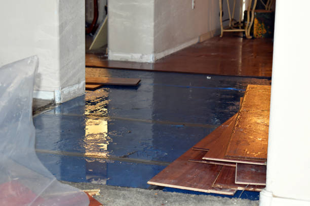 Professional Basement Flood Cleanup technician working in Talking Rock, GA